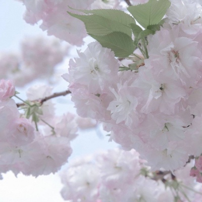 新干FurryQQ群介绍